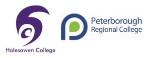 Case Study E-Safety Colleges Logo