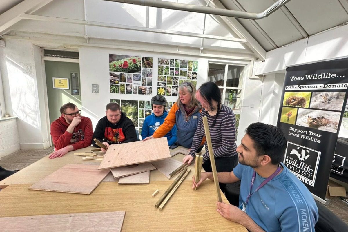 Learners develop practical employability skills through conservation work